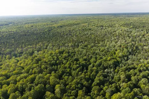 tbd 40 Acres Parcel B Diffin, Limestone, MI 49816 photo 9