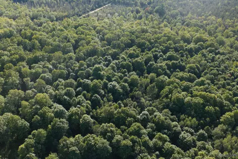 tbd 40 Acres Parcel B Diffin, Limestone, MI 49816 photo 11