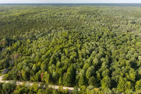 tbd 40 Acres Parcel B Diffin, Limestone, MI 49816 photo 7