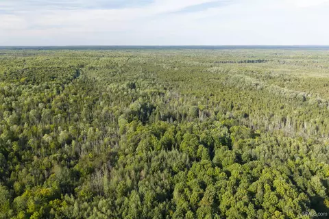 tbd 40 Acres Parcel B Diffin, Limestone, MI 49816 photo 13