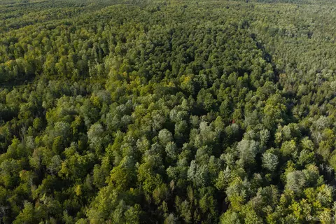 tbd 40 Acres Parcel B Diffin, Limestone, MI 49816 photo 3