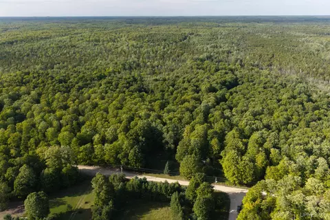 tbd 40 Acres Parcel B Diffin, Limestone, MI 49816 photo 4