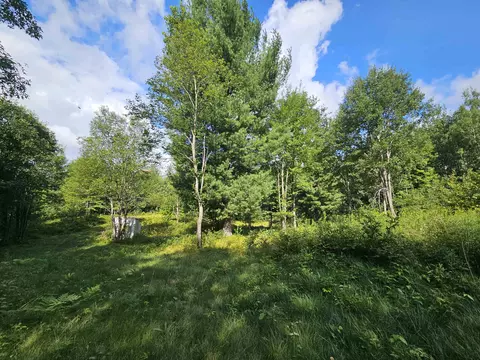 2991 Ridge, Harrison, MI 48625 photo 9