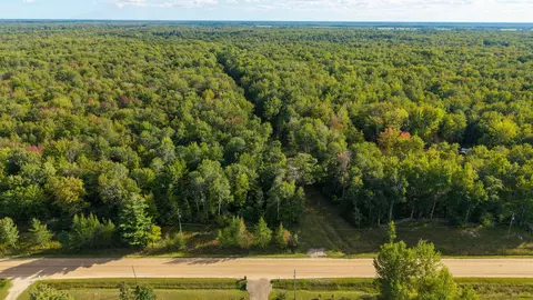 Parcel D E Baker, Hope, MI 48628 photo 3