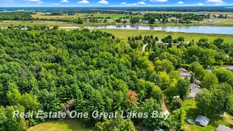 0 Pine Trl, Beaverton, MI 48612 photo 6