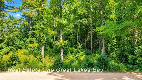 0 Pine Trl, Beaverton, MI 48612 photo 2