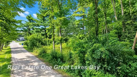 0 Pine Trl, Beaverton, MI 48612 photo 9