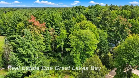 0 Pine Trl, Beaverton, MI 48612 photo 3