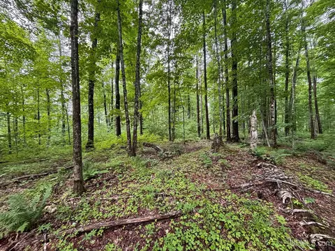 tbd Bear Town, Baraga, MI 49908 photo 23