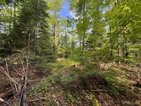 tbd Bear Town, Baraga, MI 49908 photo 6