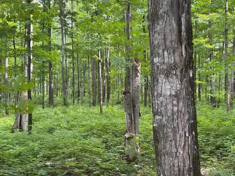 tbd Bear Town, Baraga, MI 49908 photo 30