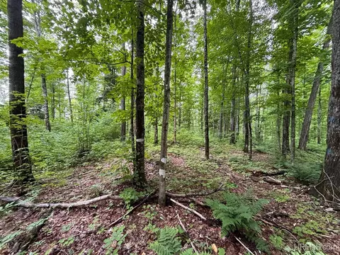 tbd Bear Town, Baraga, MI 49908 photo 25