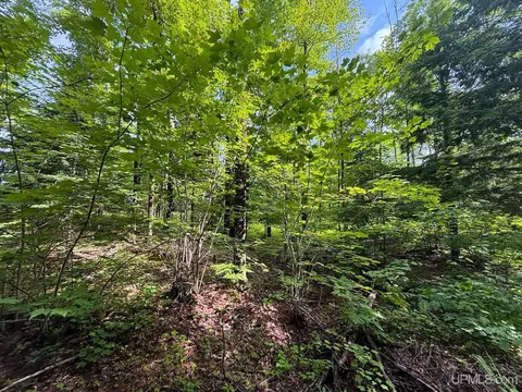 tbd Bear Town, Baraga, MI 49908 photo 5