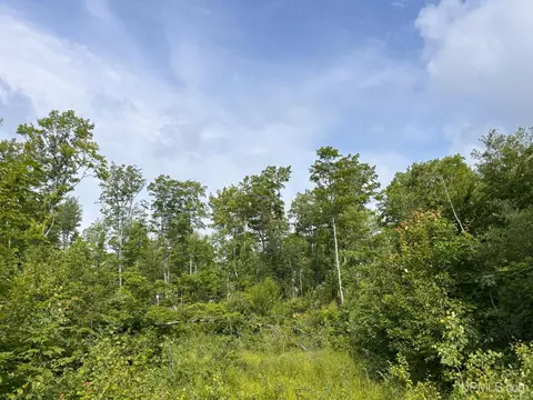 tbd Bear Town, Baraga, MI 49908 photo 13