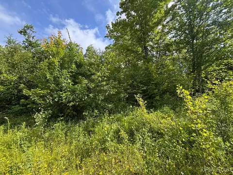 tbd Bear Town, Baraga, MI 49908 photo 16