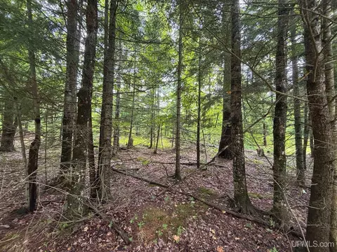 tbd Bear Town, Baraga, MI 49908 photo 34