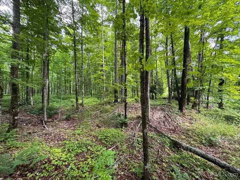 tbd Bear Town, Baraga, MI 49908 photo 21