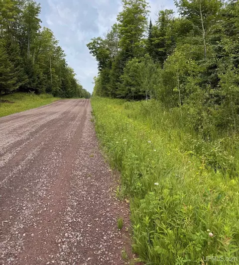 tbd Bear Town, Baraga, MI 49908 photo 32