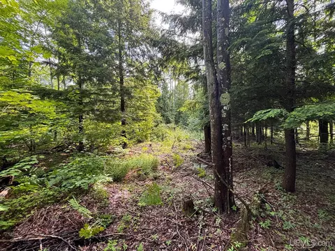tbd Bear Town, Baraga, MI 49908 photo 36