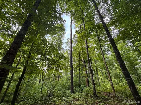 tbd Bear Town, Baraga, MI 49908 photo 27