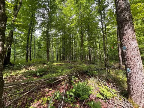 tbd Bear Town, Baraga, MI 49908 photo 20