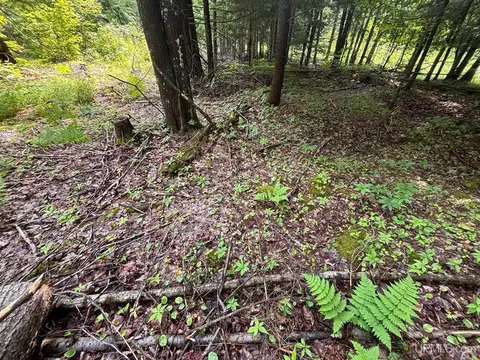 tbd Bear Town, Baraga, MI 49908 photo 7
