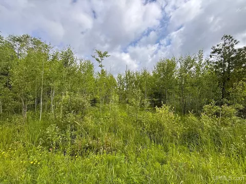 tbd Bear Town, Baraga, MI 49908 photo 33