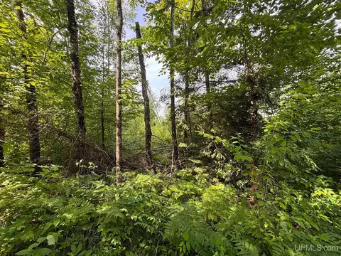 tbd Bear Town, Baraga, MI 49908 photo 15