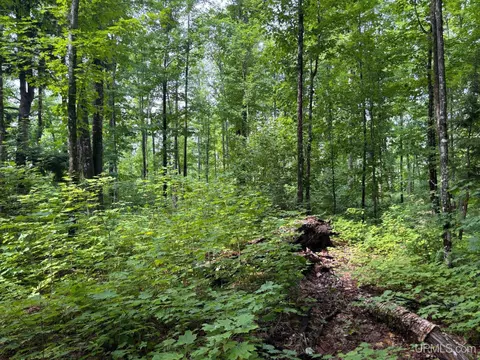 tbd Bear Town, Baraga, MI 49908 photo 28