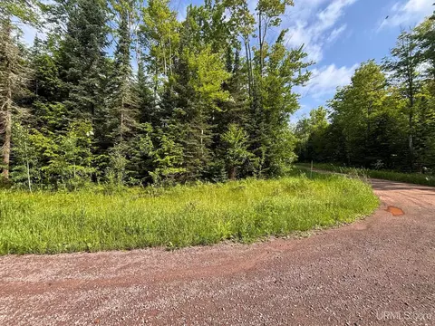 tbd Bear Town, Baraga, MI 49908 photo 8