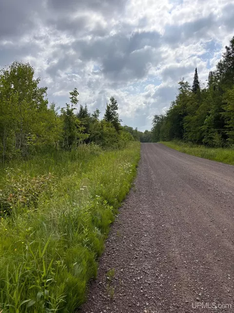 tbd Bear Town, Baraga, MI 49908 photo 31