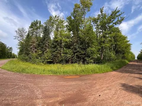 tbd Bear Town, Baraga, MI 49908 photo 9