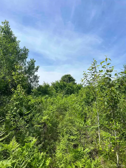 tbd Chalk Hls, Daggett, MI 49821 photo 32