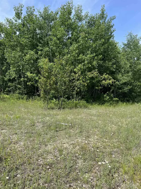 tbd Chalk Hls, Daggett, MI 49821 photo 22