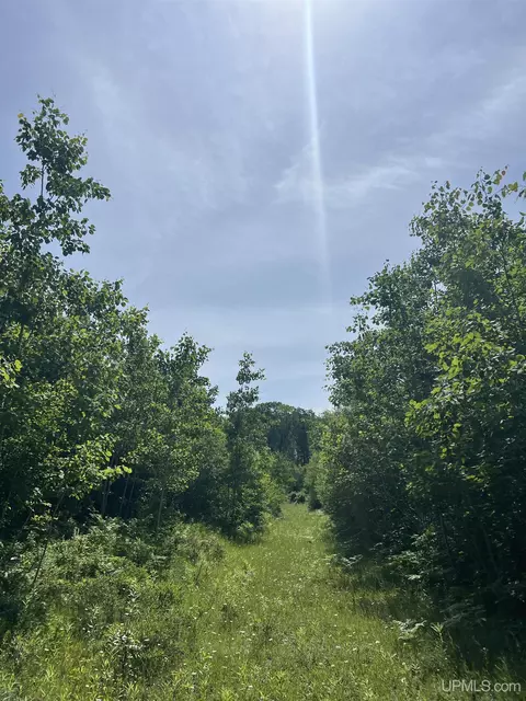 tbd Chalk Hls, Daggett, MI 49821 photo 13