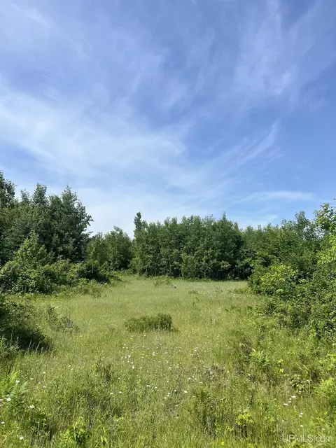 tbd Chalk Hls, Daggett, MI 49821 photo 24