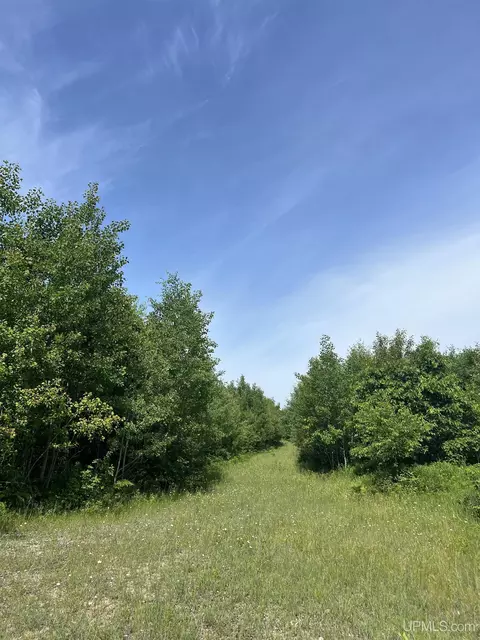 tbd Chalk Hls, Daggett, MI 49821 photo 20