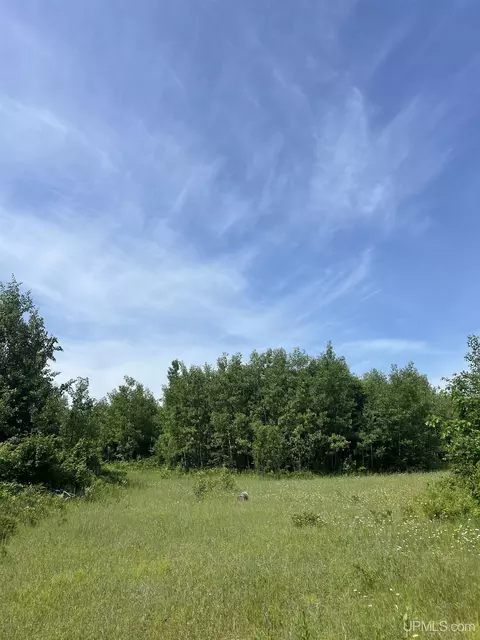 tbd Chalk Hls, Daggett, MI 49821 photo 23