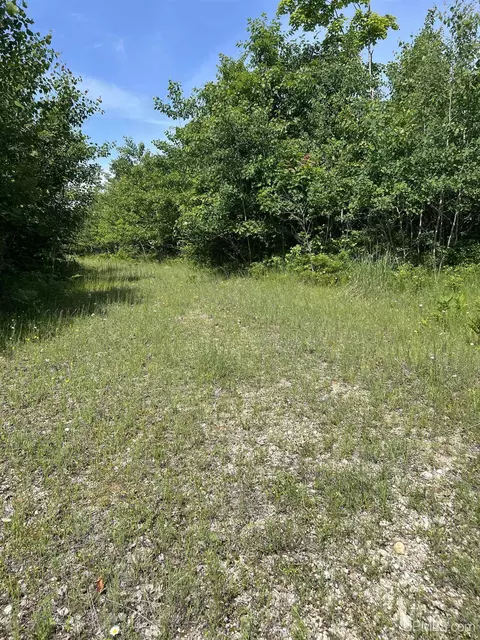 tbd Chalk Hls, Daggett, MI 49821 photo 53