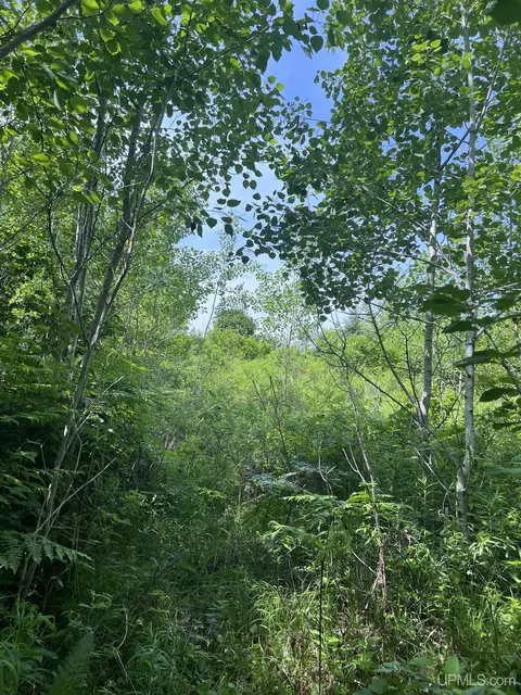 tbd Chalk Hls, Daggett, MI 49821 photo 31