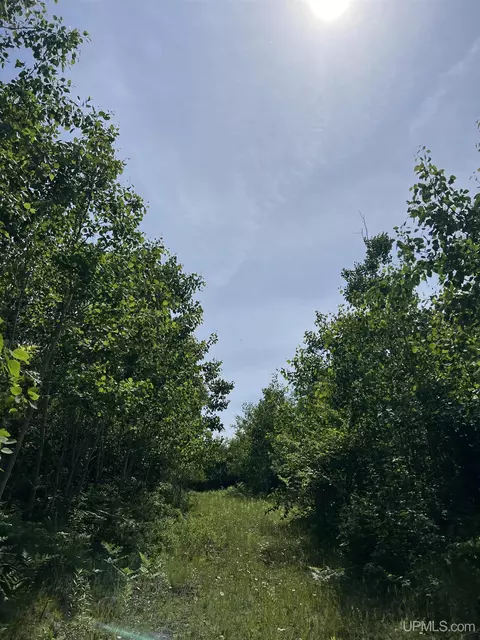 tbd Chalk Hls, Daggett, MI 49821 photo 5