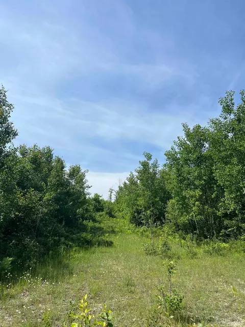 tbd Chalk Hls, Daggett, MI 49821 photo 21
