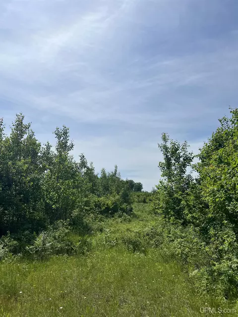 tbd Chalk Hls, Daggett, MI 49821 photo 51