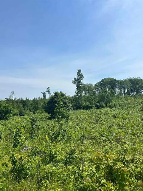 tbd Chalk Hls, Daggett, MI 49821 photo 41