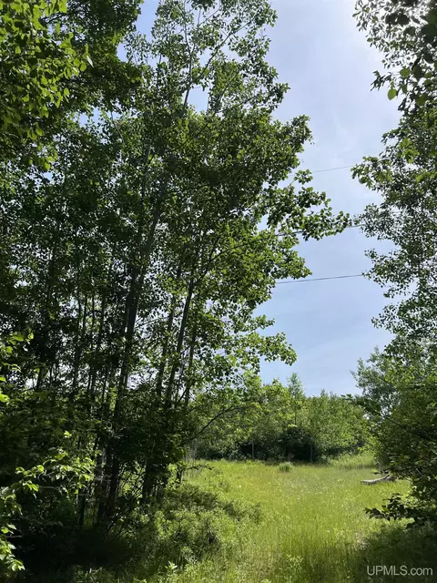 tbd Chalk Hls, Daggett, MI 49821 photo 16