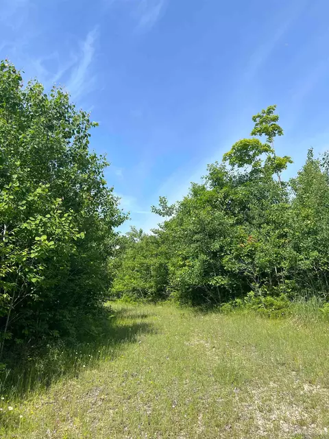 tbd Chalk Hls, Daggett, MI 49821 photo 52