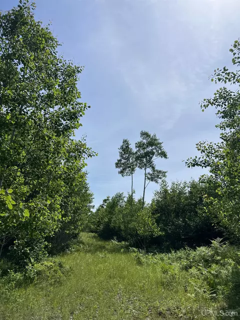 tbd Chalk Hls, Daggett, MI 49821 photo 6