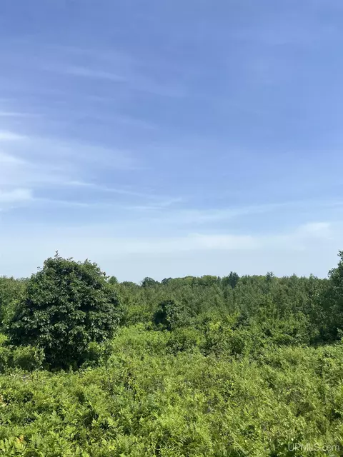 tbd Chalk Hls, Daggett, MI 49821 photo 34