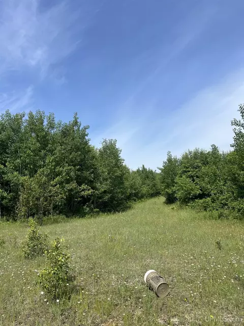 tbd Chalk Hls, Daggett, MI 49821 photo 26