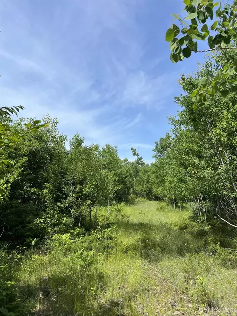 tbd Chalk Hls, Daggett, MI 49821 photo 7